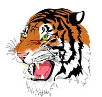 Battle Ground Tigers