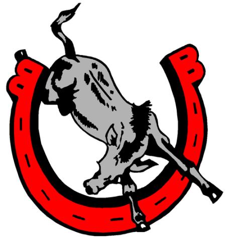 Bedford Kicking Mules