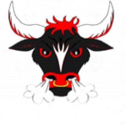 South Stanly Rowdy Rebel Bulls