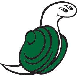 Evergreen State College Geoducks