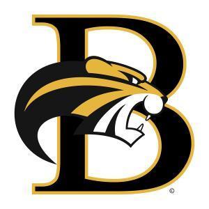 Brenau University Golden Tigers