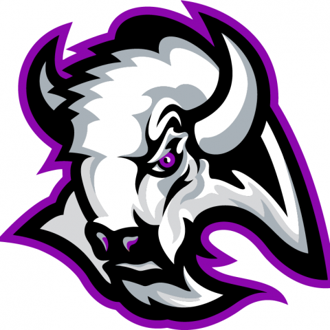 A.H. Parker Thundering Herd