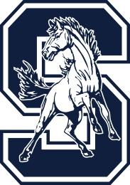 Silver Fighting Colts