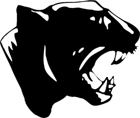 Stockbridge Panthers